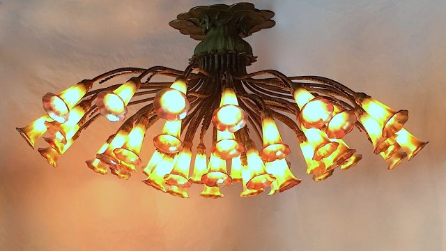 49 Light Lily